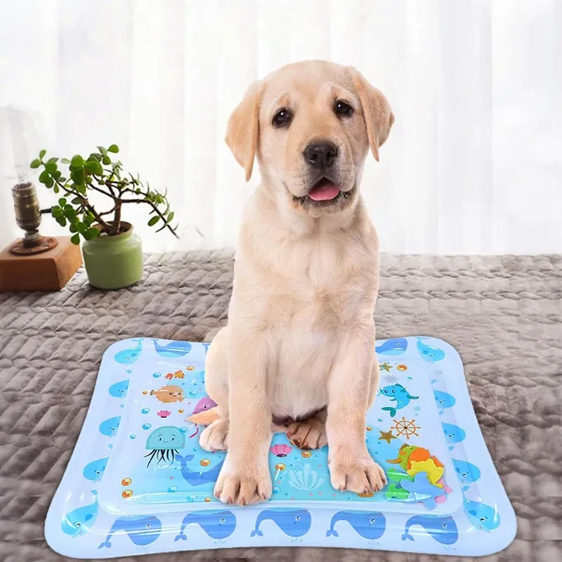 تشک بازی مدل واتر مت طرح دلفین 1