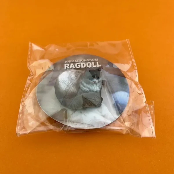 فیگور مدل گربه رگدال