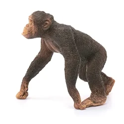 فیگور مدل Chimpanzee male