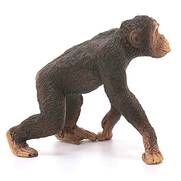 فیگور مدل Chimpanzee male