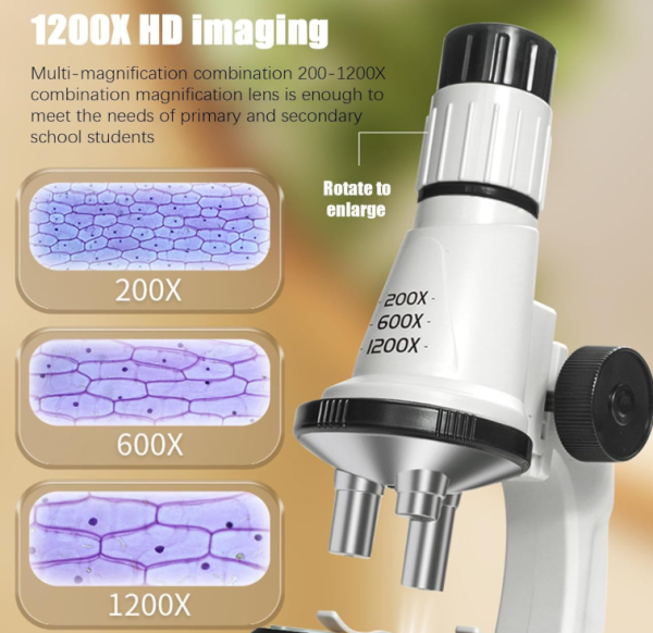 بازی آموزشی میکروسکوپ علمی مدل 1200X کد SD661 - Image 11