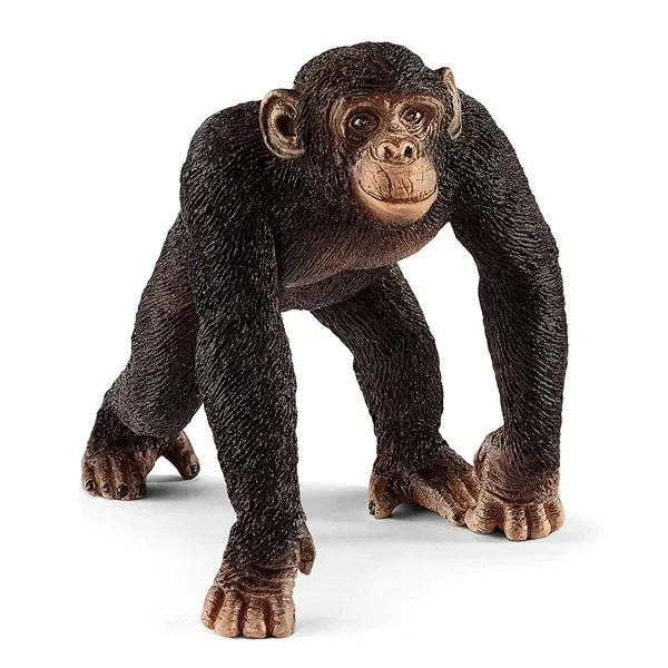فیگور مدل Chimpanzee male