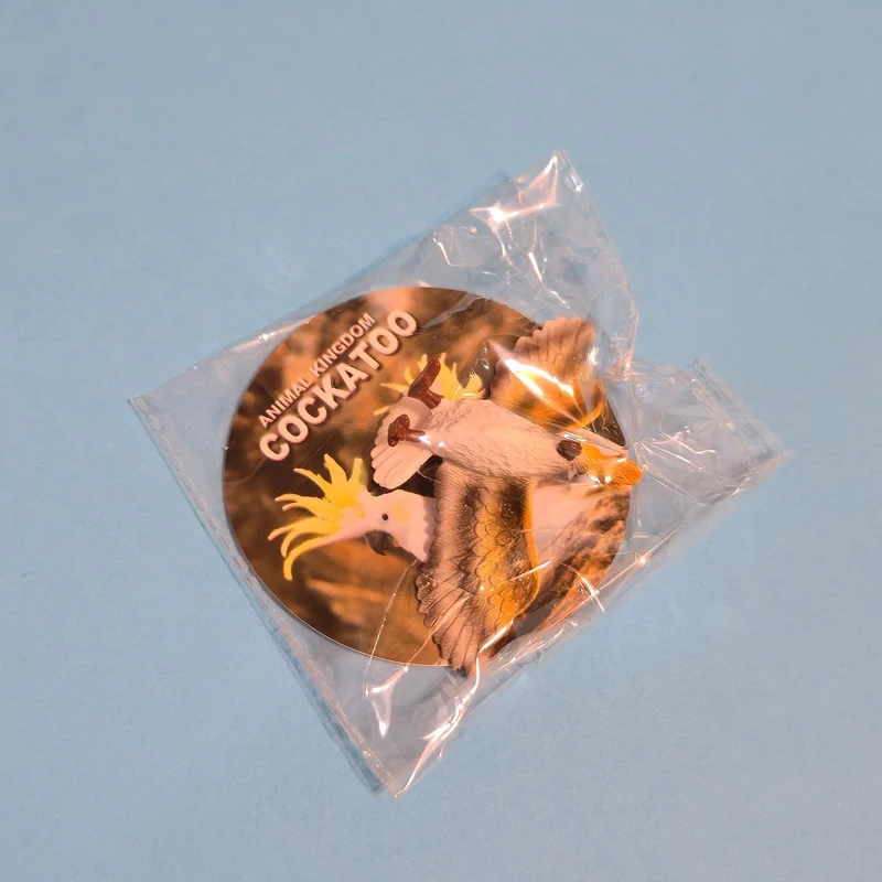 فیگور مدل پرندگان مجموعه 4 عددی کد BK852A