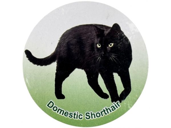 فیگور مدل گربه طرح Domestic ShortHair کد CA954-12 - Image 3