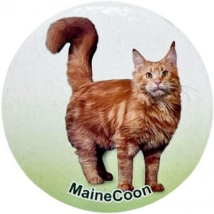 فیگور مدل گربه طرح Maine Coon کد CA954-8