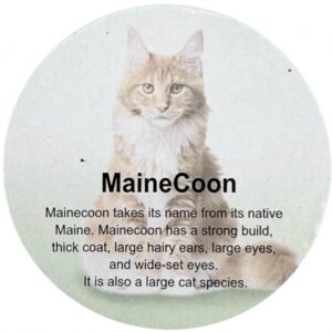 فیگور مدل گربه طرح Maine Coon کد CA954-6