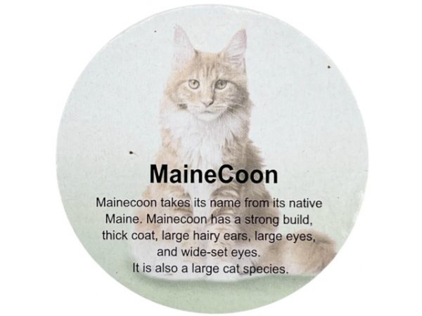 فیگور مدل گربه طرح Maine Coon کد CA954-6