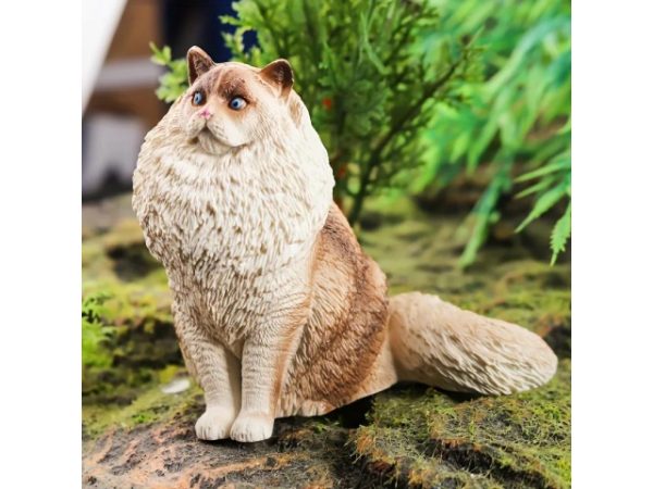 فیگور مدل گربه طرح Ragdoll کد CA954-2