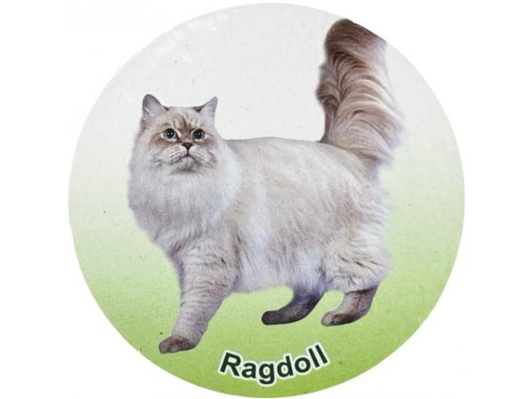 فیگور مدل گربه طرح Ragdoll کد CA954-9