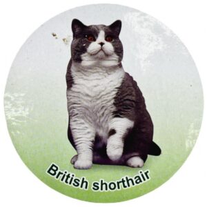 فیگور مدل گربه طرح British Short Hair کد CA954-1