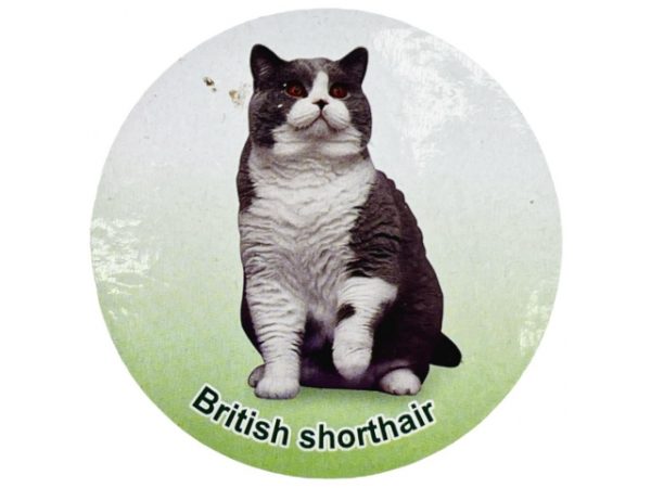 فیگور مدل گربه طرح British Short Hair کد CA954-1