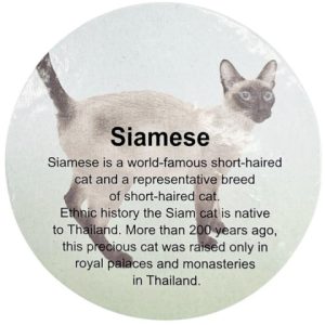 فیگور مدل گربه طرح Sinamese کد CA954-5