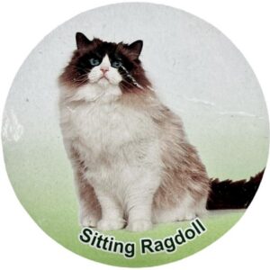 فیگور مدل گربه طرح Ragdoll کد CA954-2