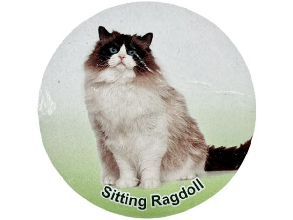 فیگور مدل گربه طرح Ragdoll کد CA954-2