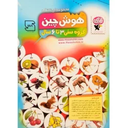 بازی فکری مدل هوش چین سه تکه – گروه سنی 3 تا 6 سال